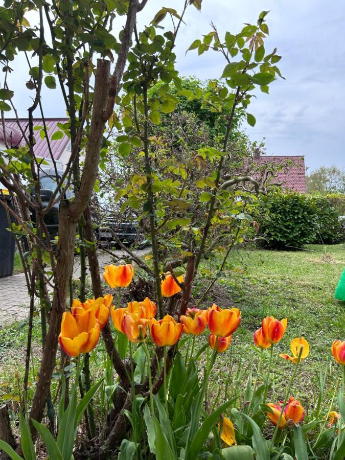 Fewo Michistrasse Forchheim  Bagian luar foto