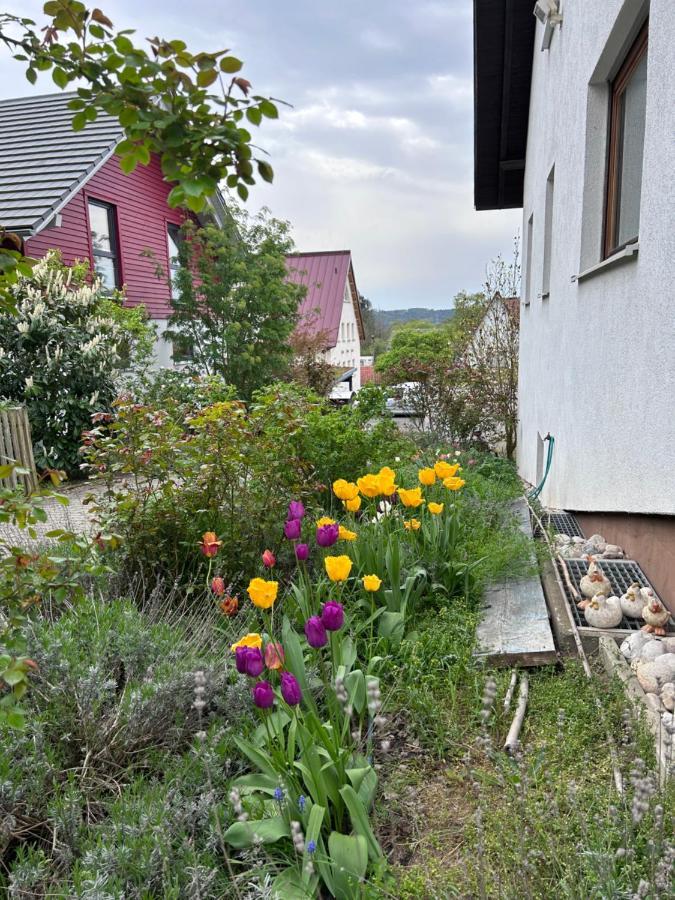 Fewo Michistrasse Forchheim  Bagian luar foto